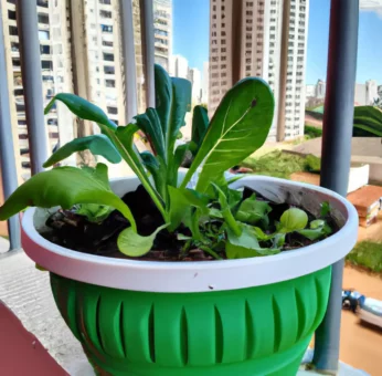 plantar em pequenos espaços