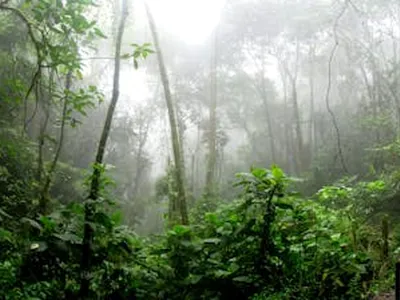Natureza e Paisagens